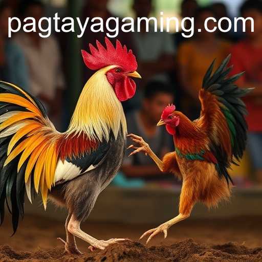 Pagtaya sa Sabong Games: Isang Malalim na Pagsusuri